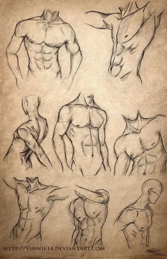 Sketches of male torsos showing muscular anatomy on a textured paper background.