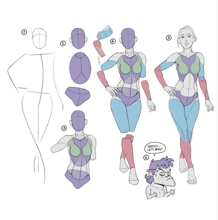 Step-by-step female anatomy drawing tutorial with colored guides for artists.