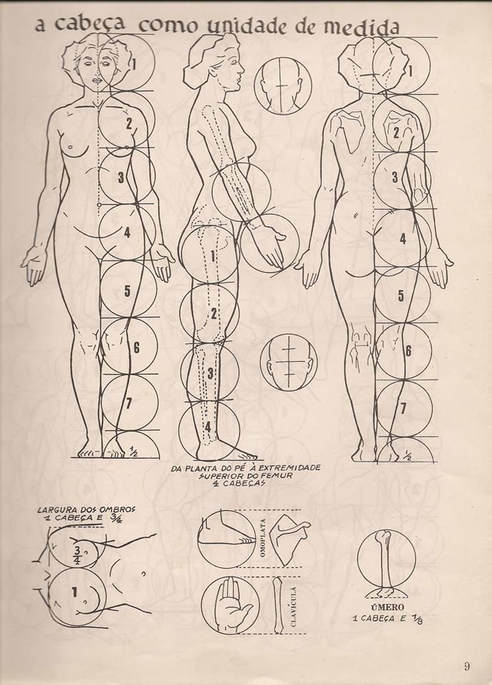 Human proportions diagram using head as unit of measurement, featuring front, side, and back views. Text in Portuguese.