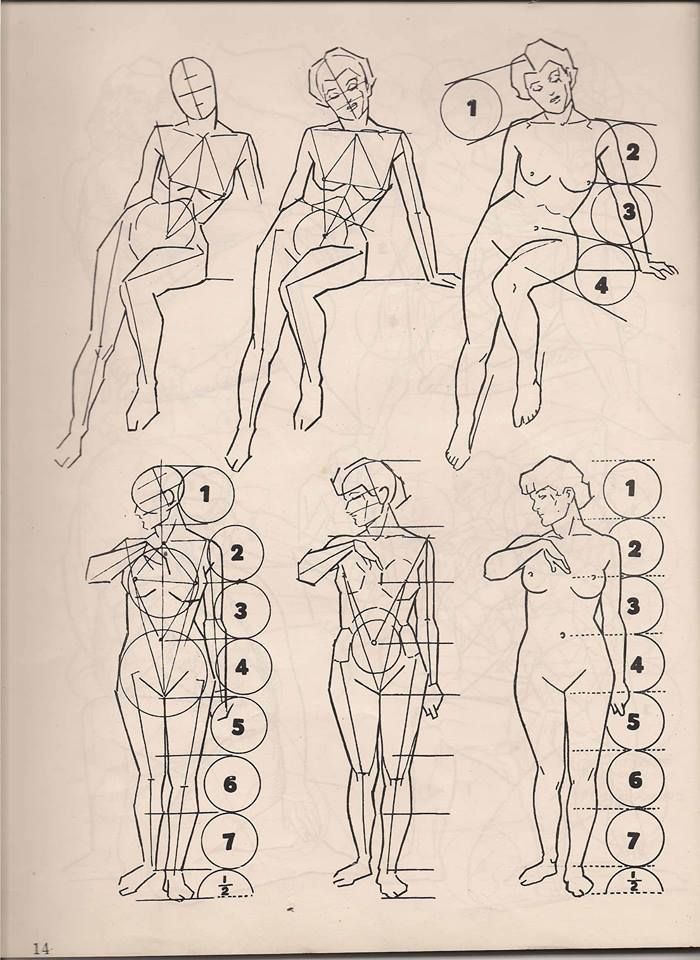 Illustration showing figure drawing techniques with human anatomy guidelines and proportions.