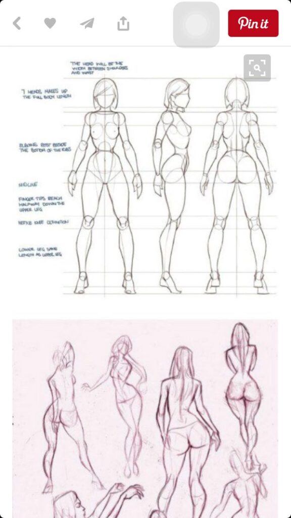 Female figure drawing guide showing proportions and poses for sketching practice.