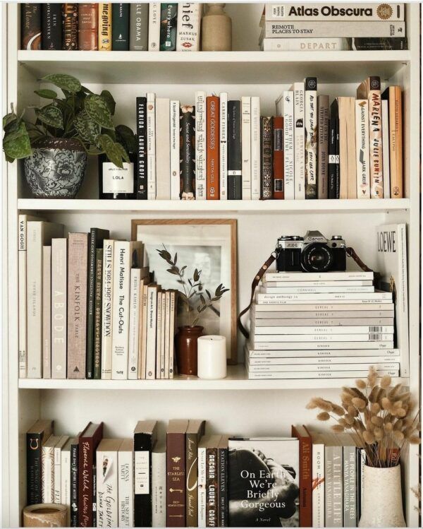 Aesthetic bookshelf with diverse books, vintage camera, and potted plants, creating a cozy reading atmosphere.