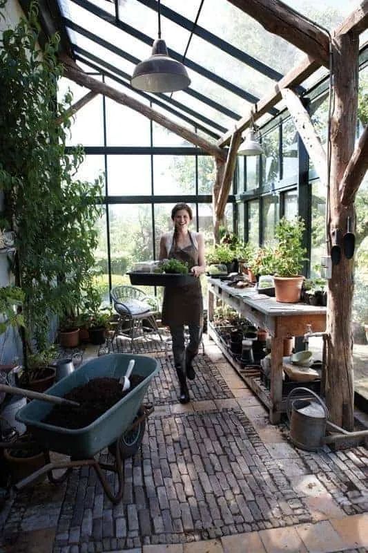 Woman gardening in sunlit greenhouse with plants and wheelbarrow, enjoying nature and greenery.