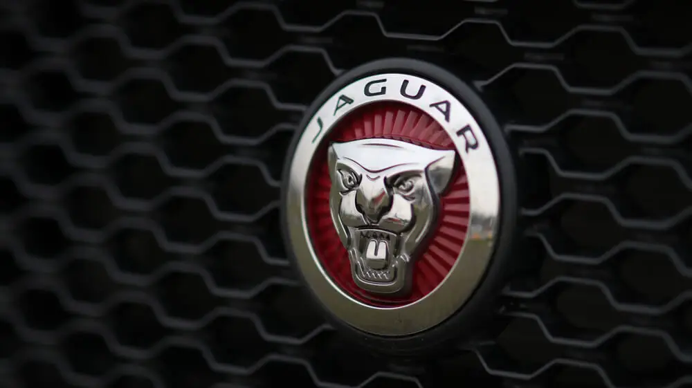 Close-up of Jaguar car logo on a black grille, featuring a silver jaguar face on a red background.