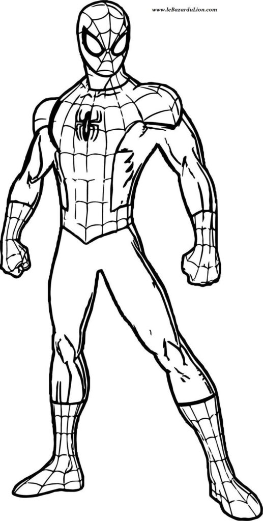 Black and white Spider-Man drawing showcasing iconic superhero pose and web design on suit.