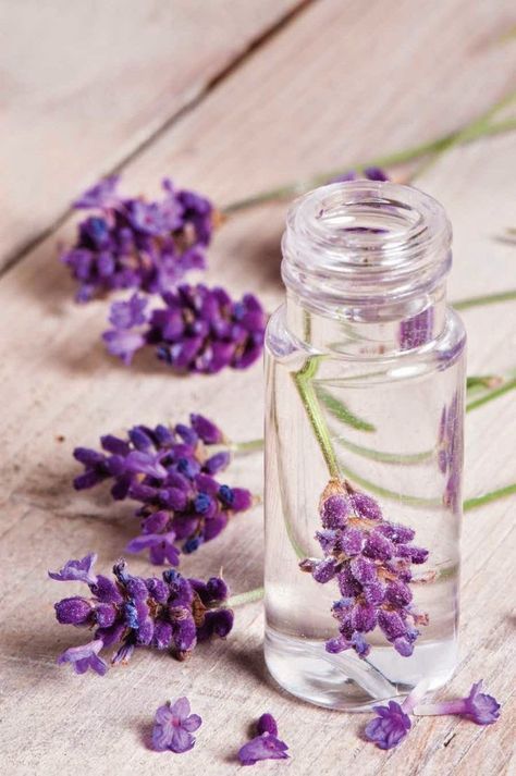 Glass bottle with lavender oil and fresh lavender flowers on a wooden surface. Aromatherapy and relaxation concept.