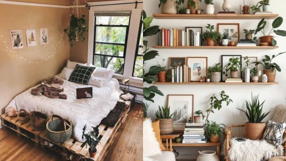 Cozy bohemian bedroom and living space with plants, books, and natural wood elements for a serene atmosphere.