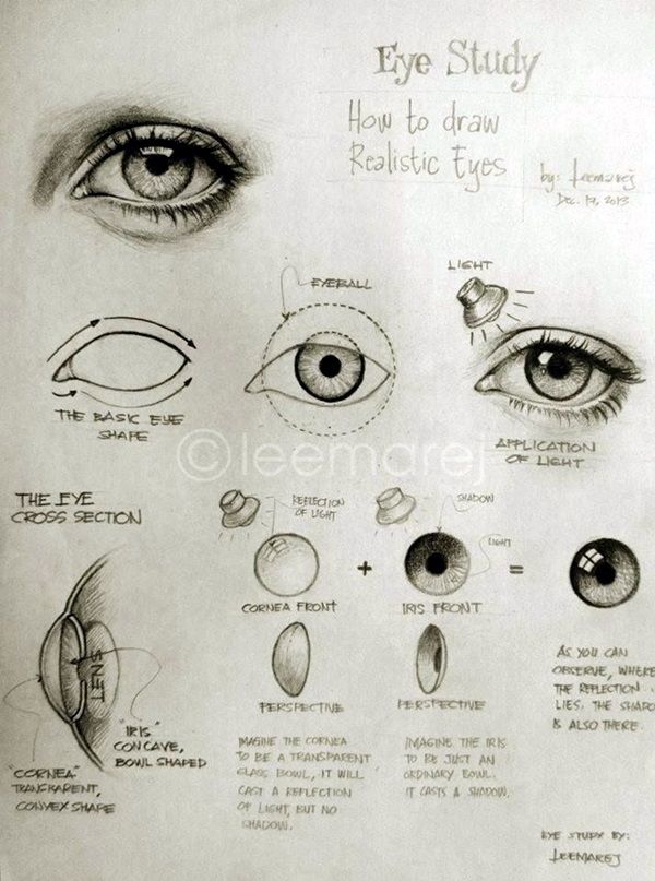 Sketches and instructions on how to draw realistic eyes, illustrating light, reflections, and cross-sections.