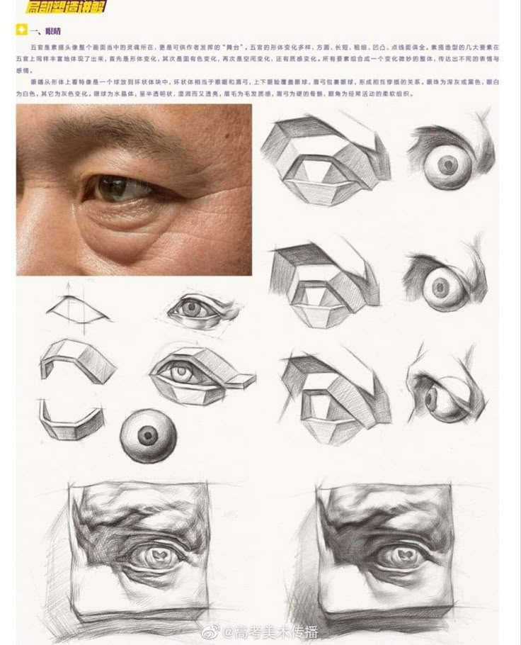 Detailed eye anatomy sketches and diagrams for drawing practice and study.