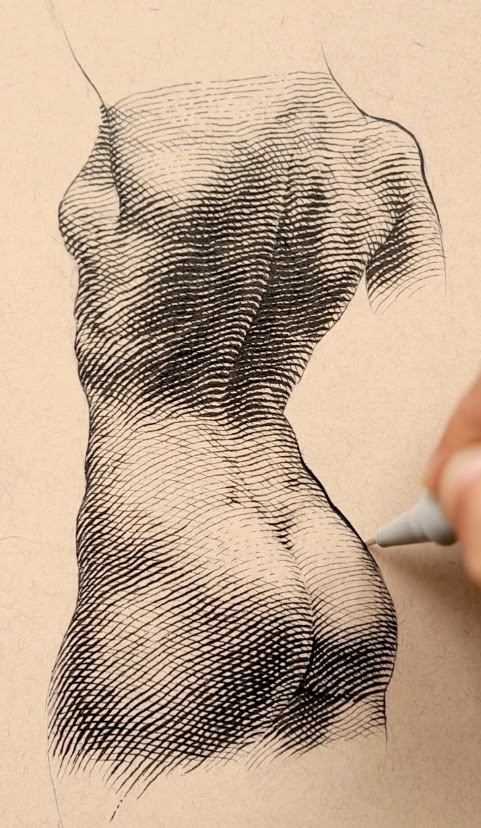 Detailed pen sketch of a human torso with crosshatching technique on beige paper, hand holding a pen.