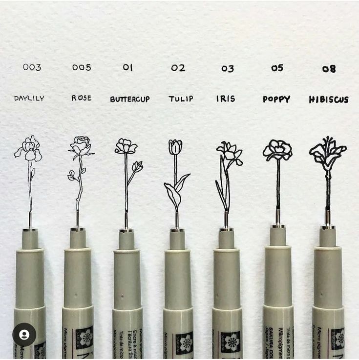 Fineliners with floral drawings of daylily, rose, buttercup, tulip, iris, poppy, and hibiscus, showcasing precision art.