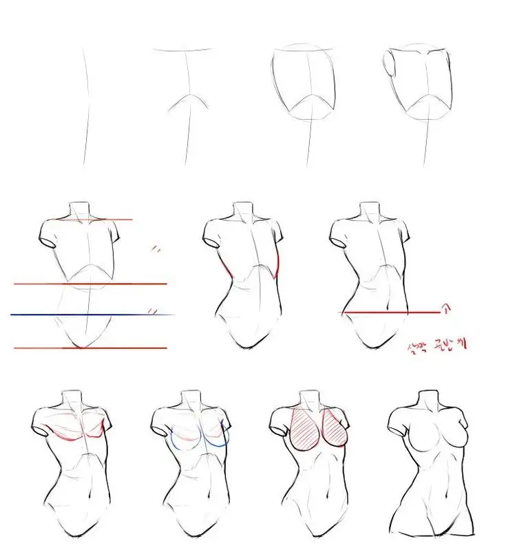 Step-by-step guide to drawing a female torso, focusing on structure and proportions.