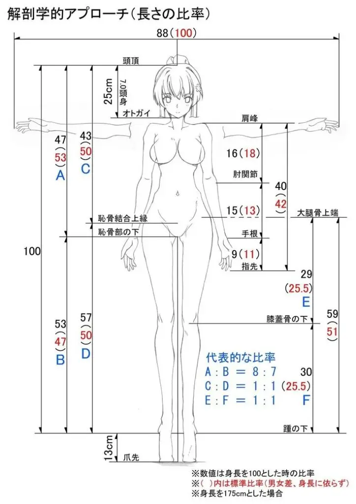 Anime character anatomical measurements chart with Japanese text detailing proportions and dimensions.