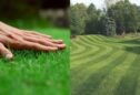 How to Achieve a Picture-Perfect Lawn Without Hiring a Landscaper