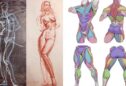 Anatomical Drawing of Human Body: Art Meets Medical Science