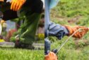 Post Emergent Herbicide – Effective Weed Control for Gardens & Lawns