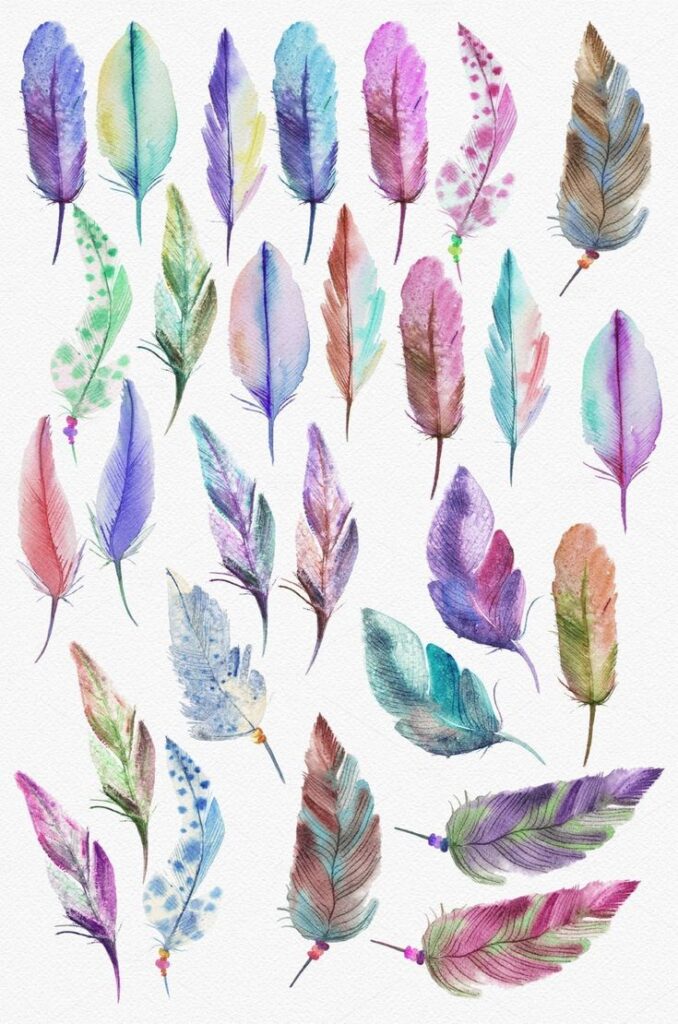 Colorful watercolor feathers on white background, showcasing artistic design and vibrant hues.