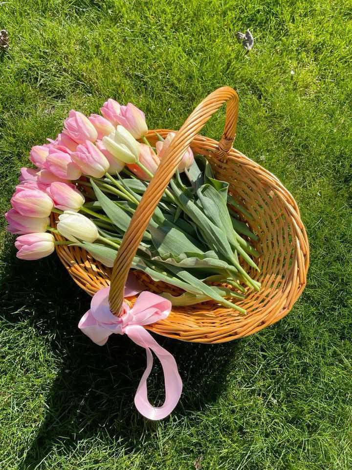 Basket of pink and white tulips with pink ribbon on green grass, highlighting spring beauty and freshness.