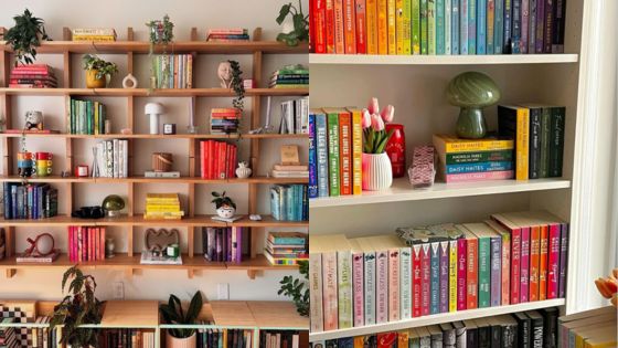 Colorful books arranged on shelves with decorative plants and ornaments for a vibrant, organized home library look.