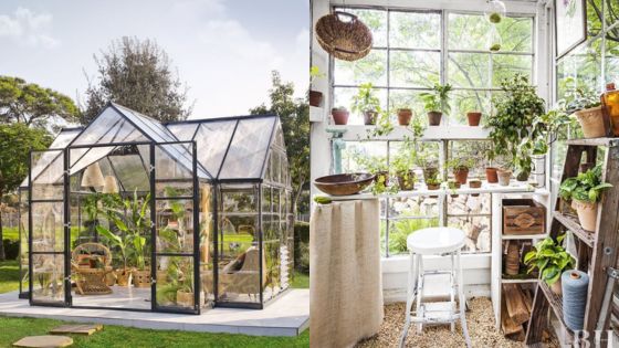 Modern greenhouse exterior and interior with lush green plants and natural lighting.