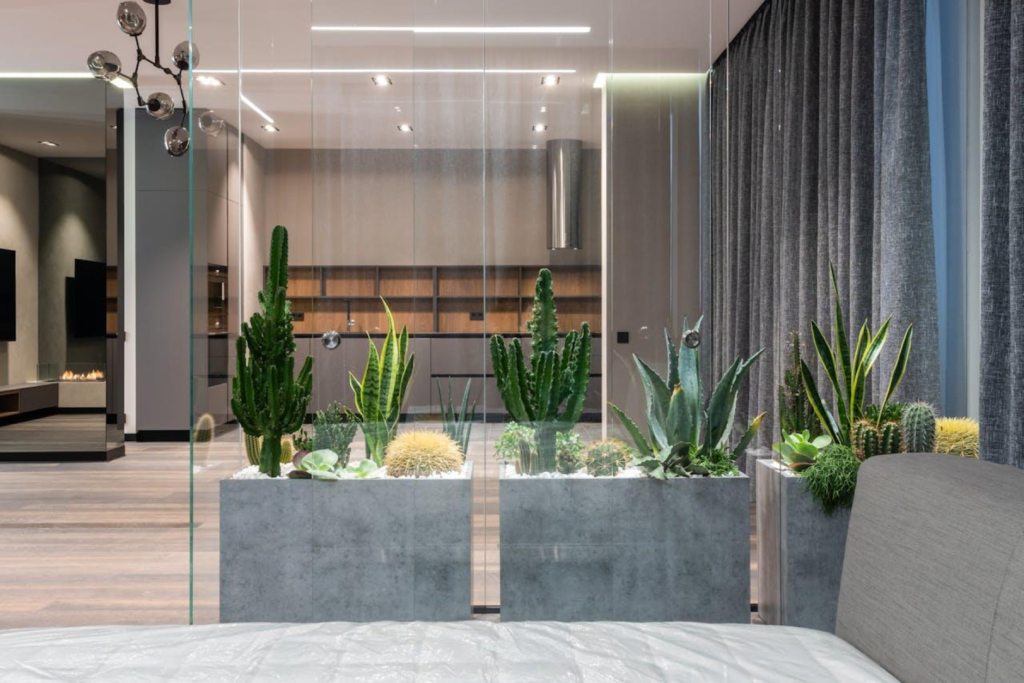 Modern bedroom with cactus plants, glass divider, and sleek design elements for a stylish, serene ambiance.