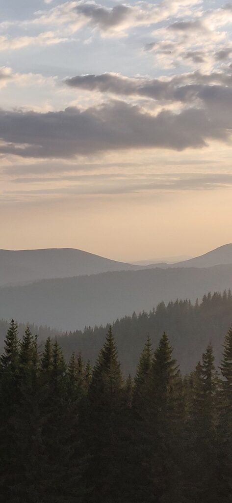 Sunset over a serene mountain landscape with lush green pine trees and a cloudy sky.