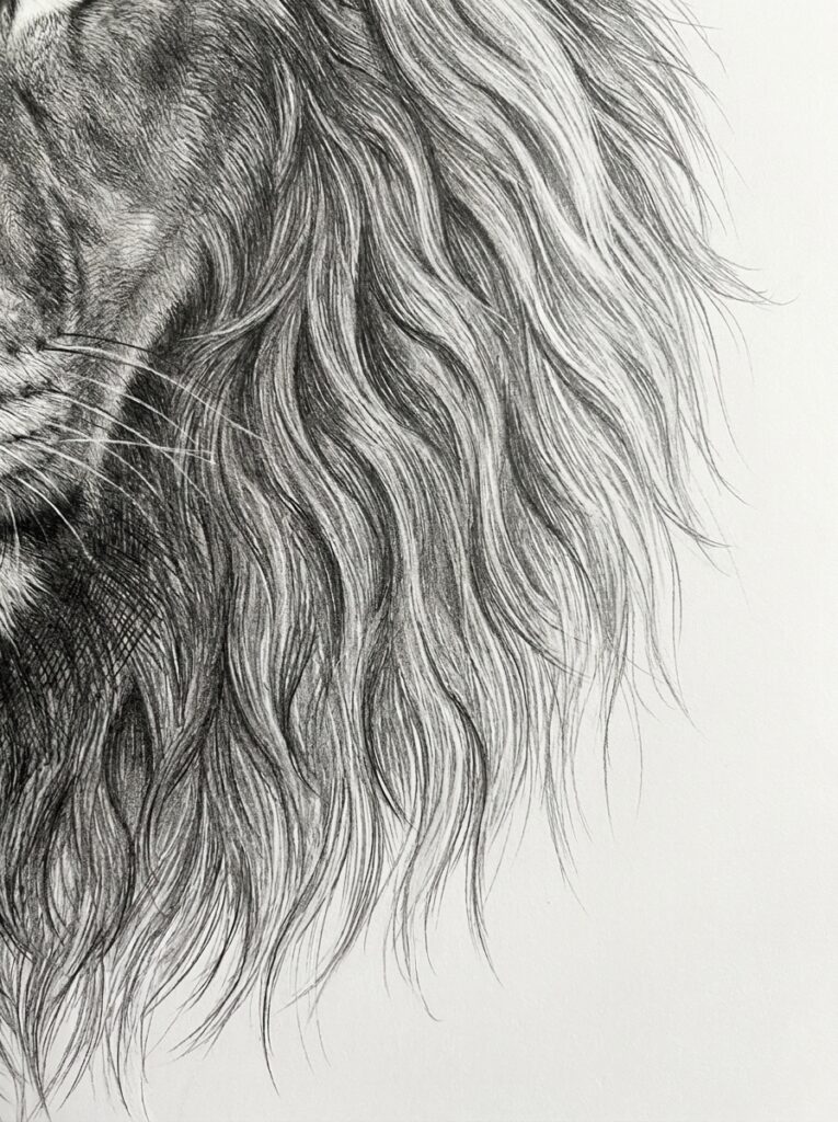 Close-up sketch of a horse's flowing mane in black and white, showing detailed hair strands on the left side.