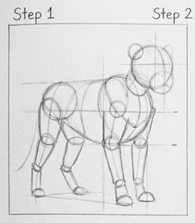 Rough sketch of a four-legged horse being constructed in steps, with circular joints and guidelines to show proportions.