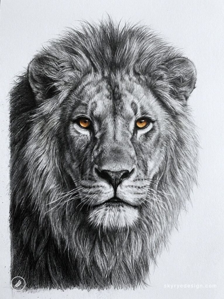 Realistic pencil sketch of a male lion portrait with amber eyes, detailed grayscale wildlife drawing