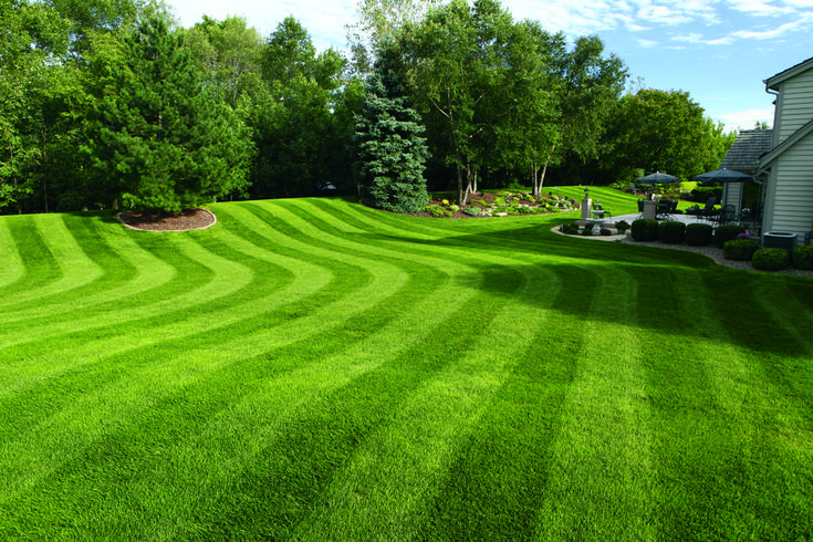 Striped green lawn with manicured grass, surrounded by trees and a patio area next to a house under a clear blue sky.