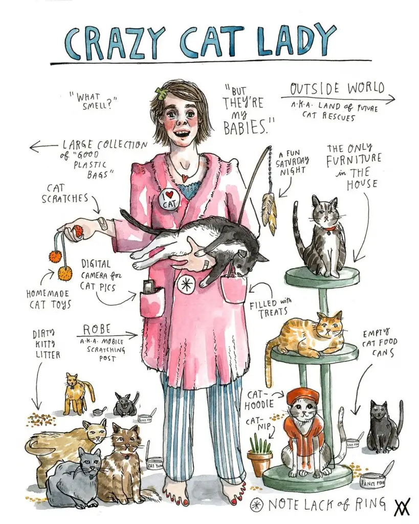 Illustrated Crazy Cat Lady with cats, toys, and caption, humorous depiction of a dedicated cat enthusiast.