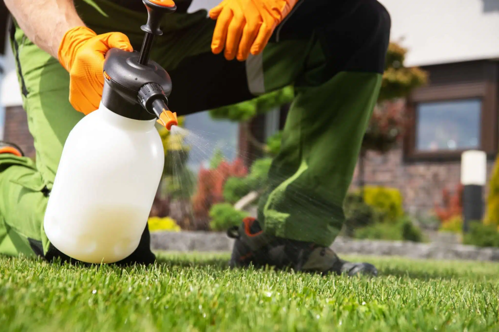 Gardener in gloves spraying lawn with garden sprayer, maintaining healthy grass in a beautiful yard.