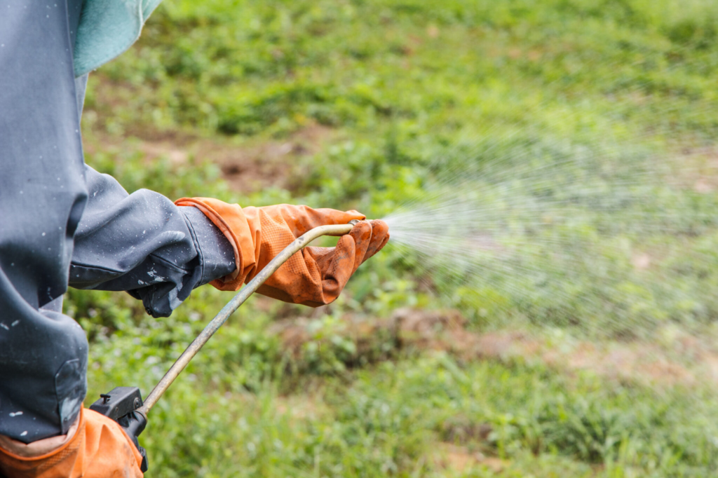 Person spraying pesticide on a green field with protective gloves and gear, ensuring safe agricultural practices.