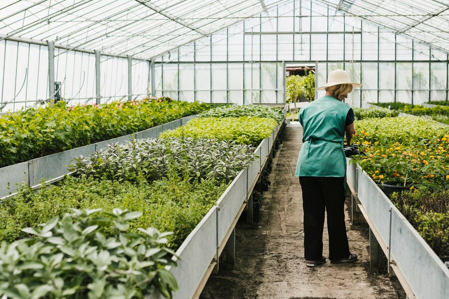 Gardener tending plants in a greenhouse filled with lush greenery and flowers.