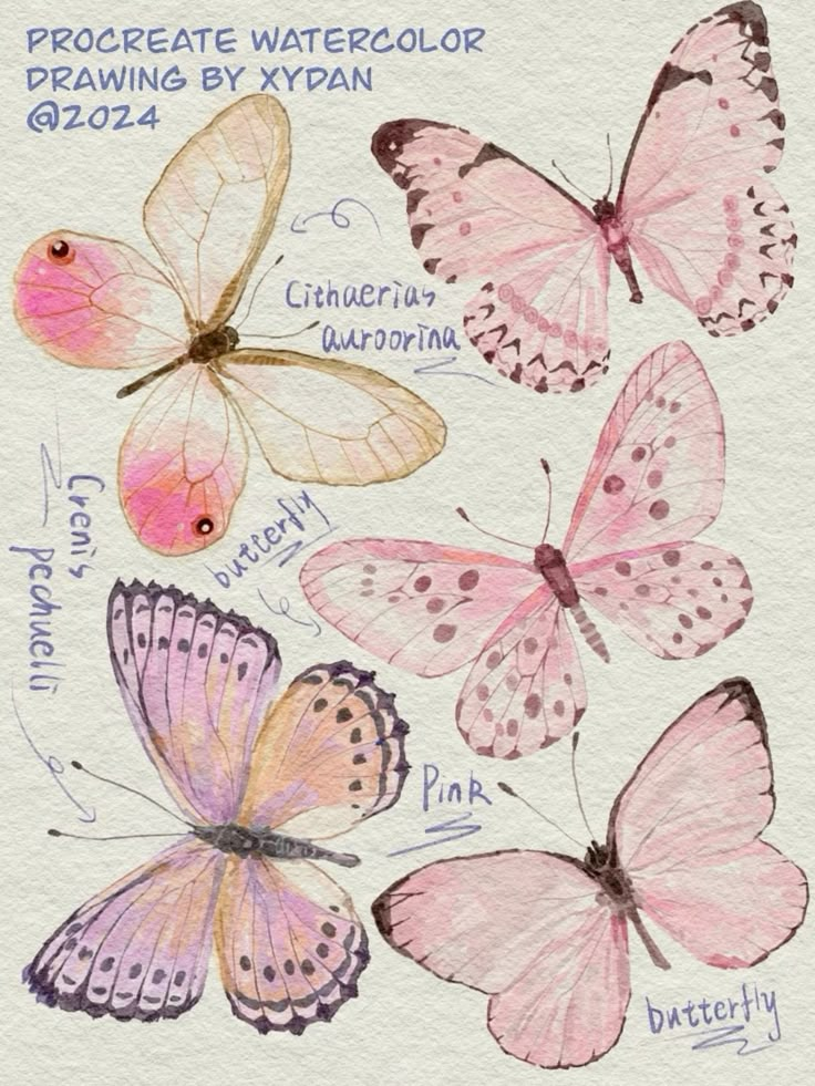 Watercolor illustration of five colorful butterflies labeled with species names, created in Procreate by Xydan.