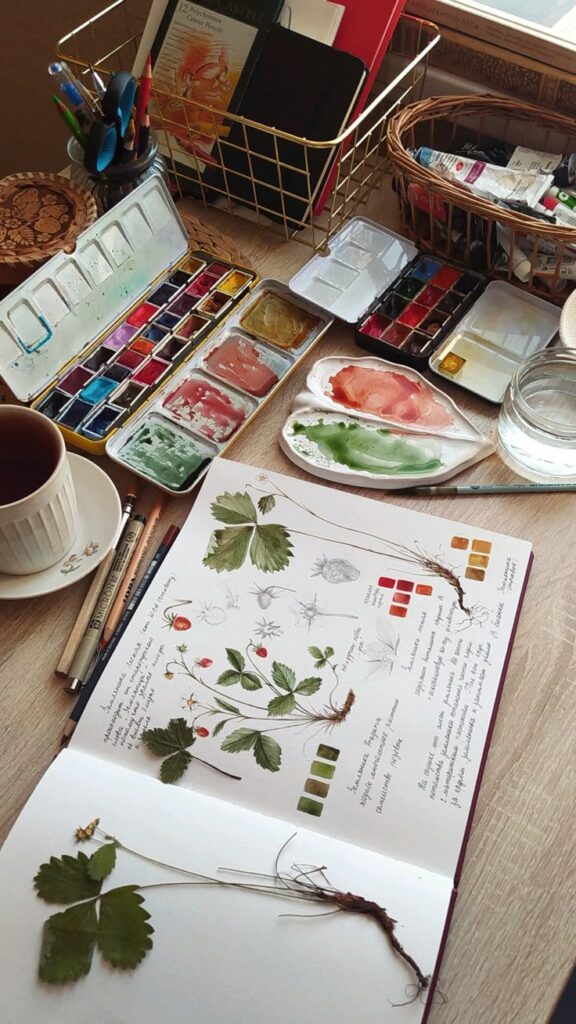 Art desk with watercolor paints, botanical sketches, a cup of tea, and drawing tools on a wooden table.