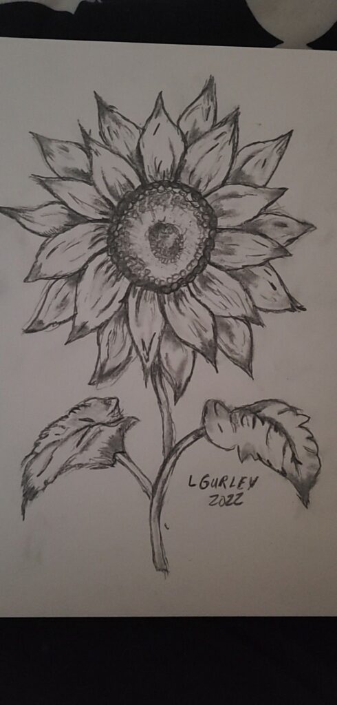 Hand-drawn sunflower sketch in black and white with detailed petals and leaves.