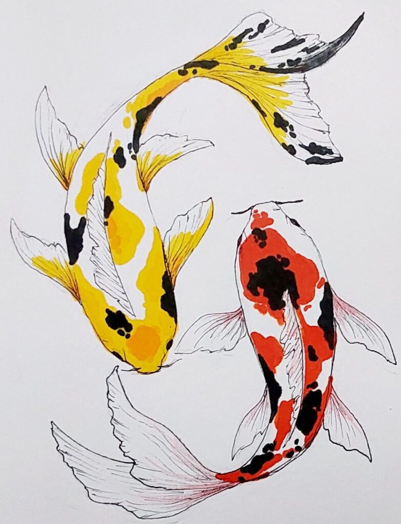 Illustration of two colorful koi fish swimming, featuring yellow, orange, black, and white patterns on a white background.