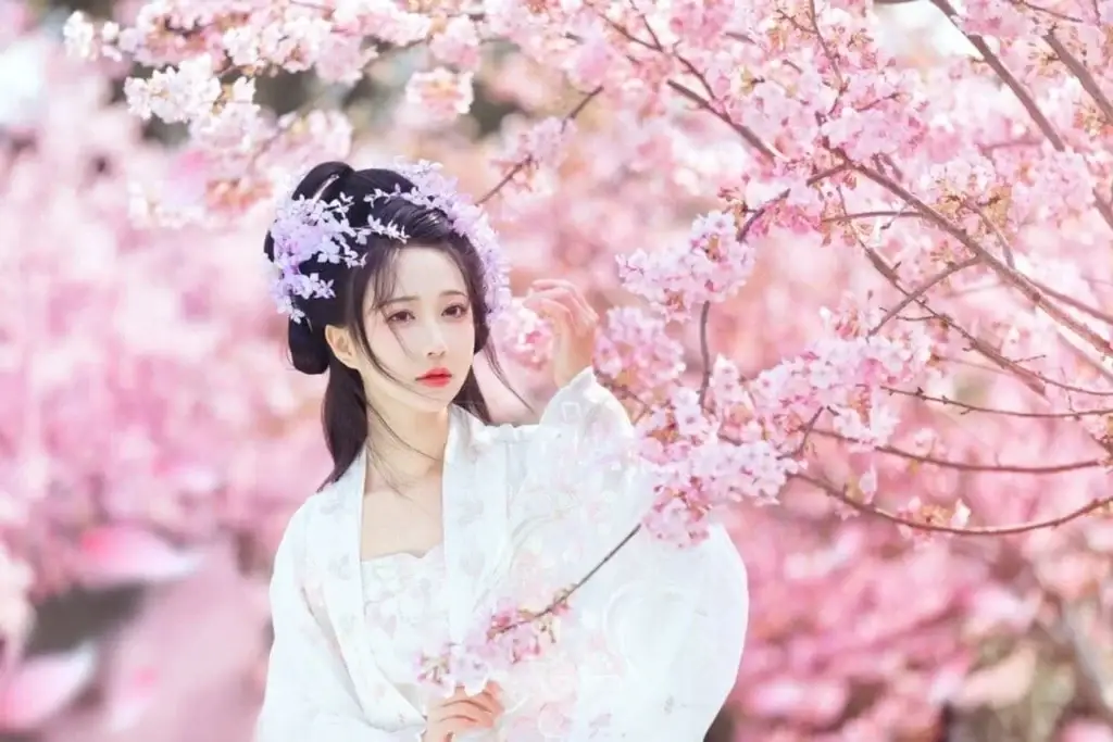 Woman in traditional attire with cherry blossoms. Elegant and serene moment among pink flowers.
