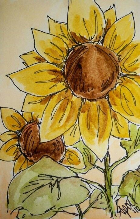 Illustrated sunflower art with vibrant yellow petals and green leaves, watercolor effect.