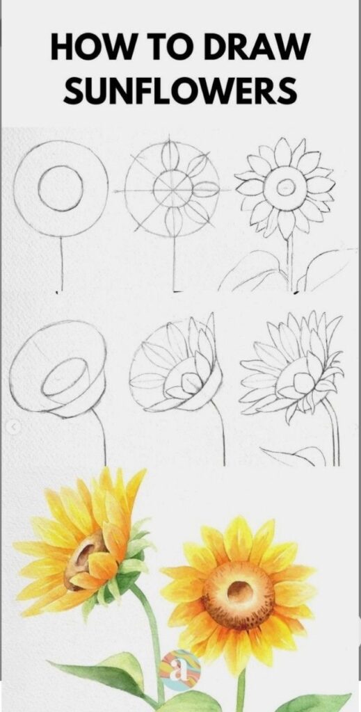 Step-by-step sunflower drawing guide: from sketches to colorful illustrations for artists.