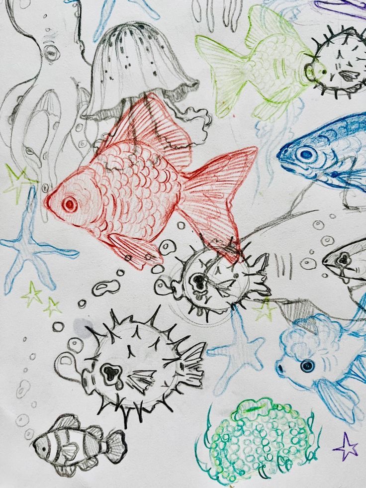 Colorful hand-drawn underwater scene with fish, jellyfish, and starfish sketches. Vibrant aquatic life illustration.