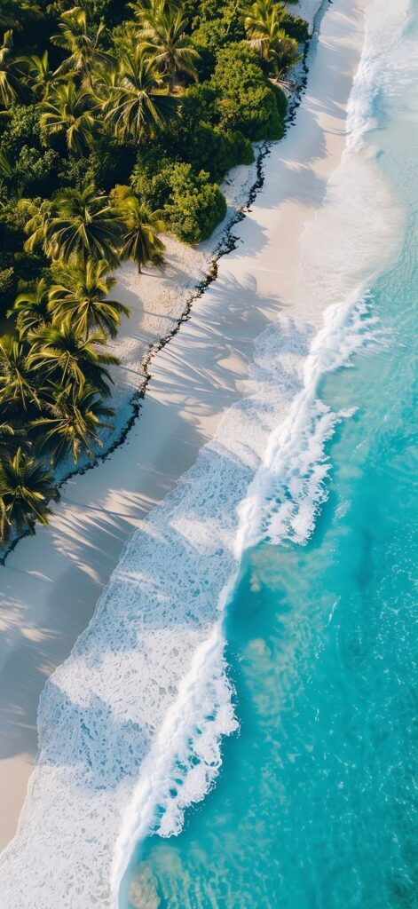 Aerial view of tropical beach with palm trees, white sand, and turquoise waves gently crashing on the shore.