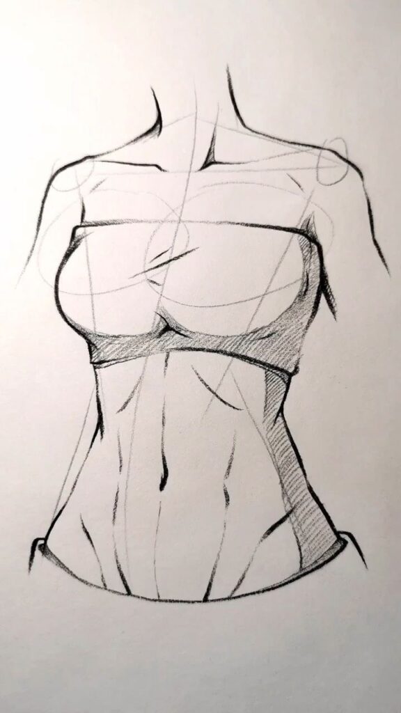 Sketch of a woman's torso with strapless top, highlighting anatomy and contours in black pencil.