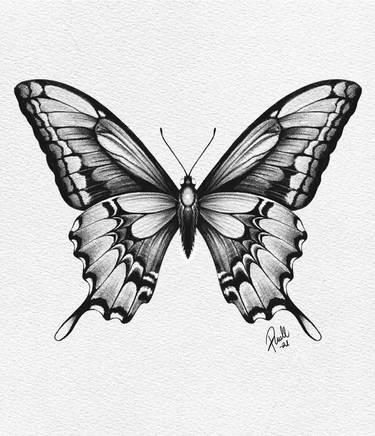 Black and white butterfly drawing with detailed wings, showcasing artistic shading and symmetry.