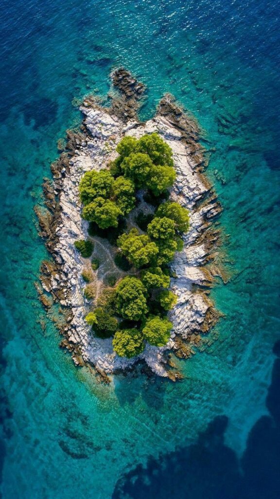 Aerial view of a small rocky island with green trees surrounded by clear blue ocean waters.