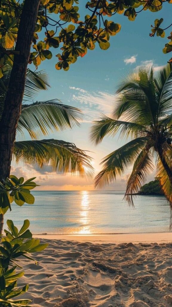 Tropical beach sunset with palm trees and calm ocean waves reflecting warm golden sunlight.