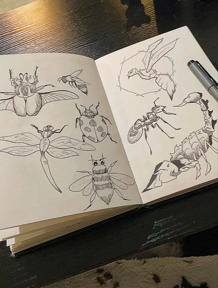 Sketchbook open to detailed insect drawings with pen on table.