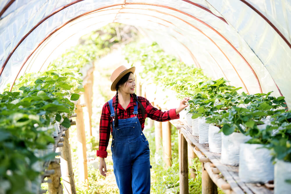 Woman in overalls tending plants in a greenhouse, showcasing sustainable agriculture practices.