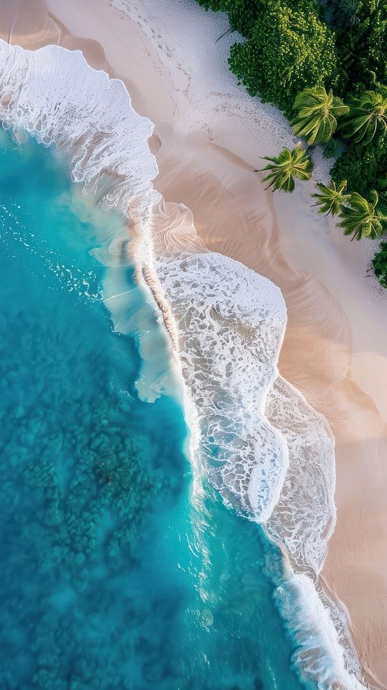 Aerial view of a tropical beach with turquoise waves, white sand, and lush green palm trees.